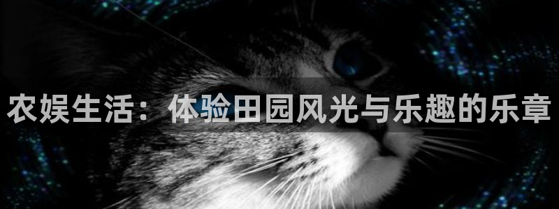 门徒平台：农娱生活：体验田园风光与乐趣的乐章