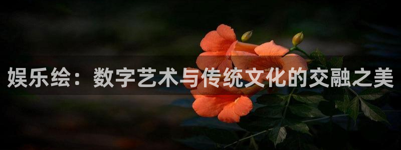 拉菲门徒平台：娱乐绘：数字艺术与传统文化的交融之美