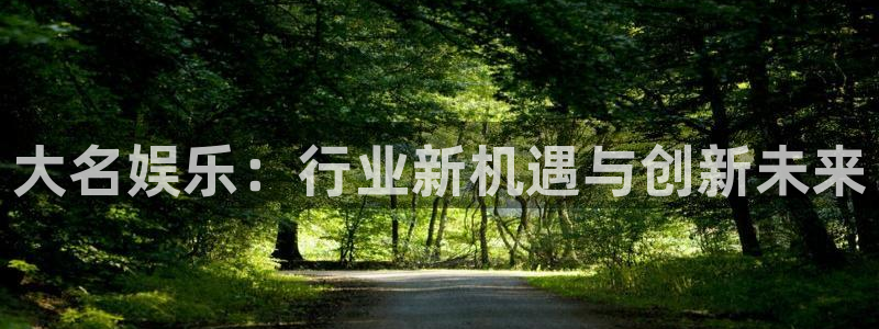 门徒平台登录入口官网注册：大名娱乐：行业新机遇与创新未来